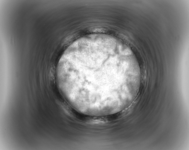 X0000085750175200704091323