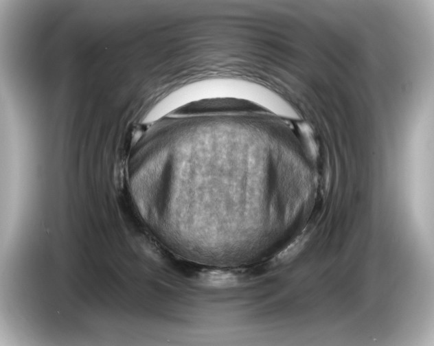 X0000085750180200704091323