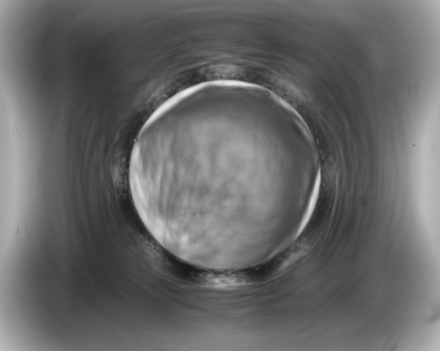 X0000085750181200704091323