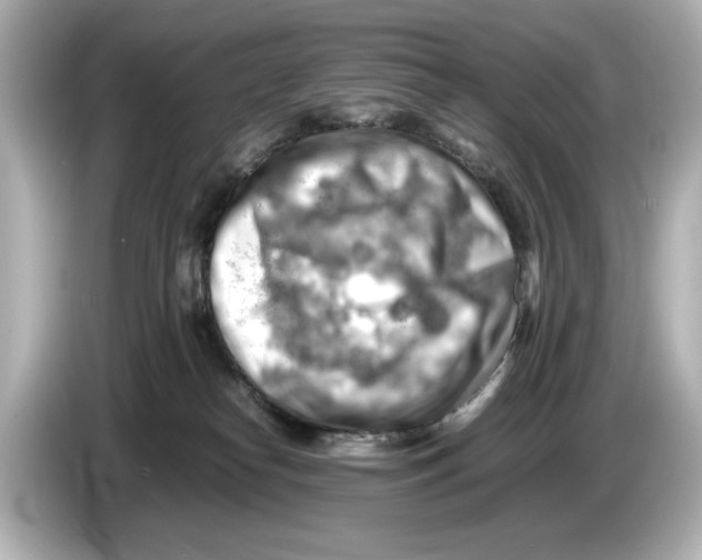 X0000085750182200704091323