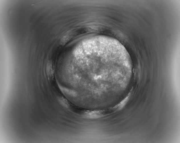 X0000085750186200704091323