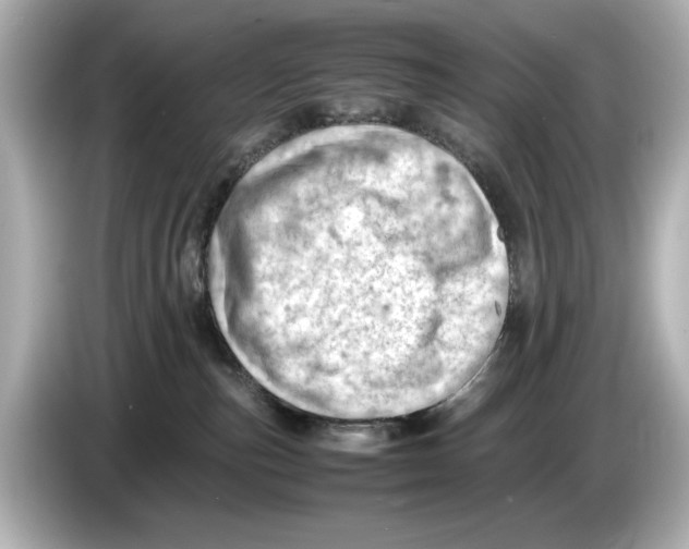 X0000085750187200704091323