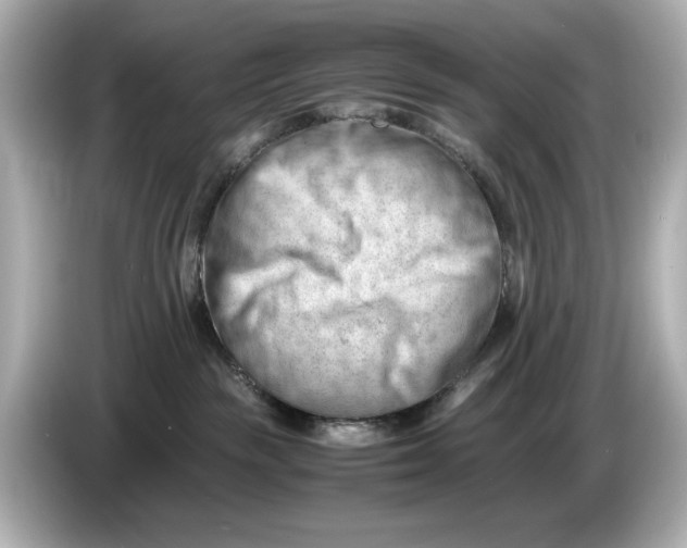 X0000085750189200704091323