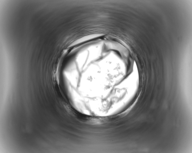 X0000085750190200704091323