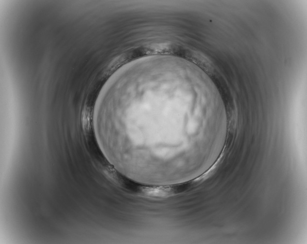 X0000085750191200704091323