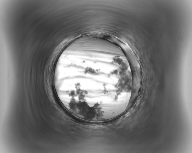 X0000085750193200704091322