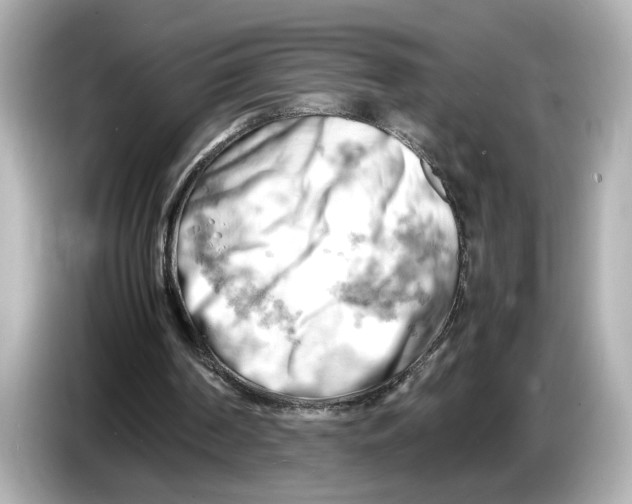 X0000085750194200704091322