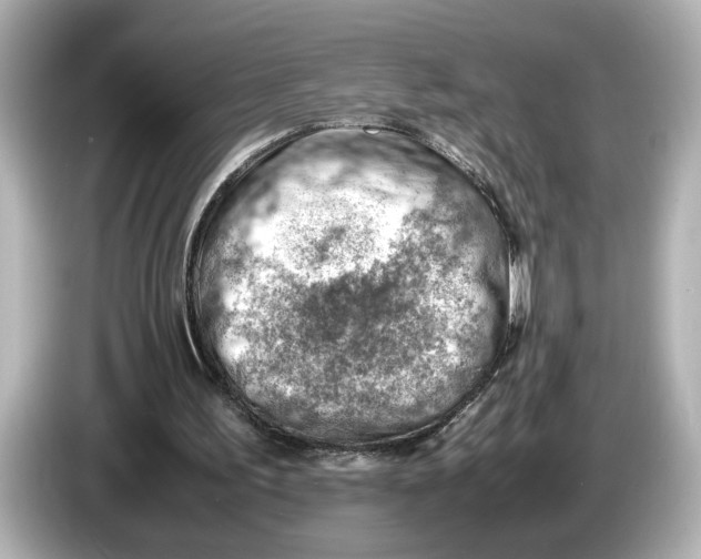 X0000085750195200704091322