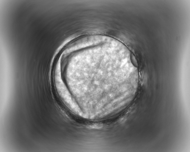 X0000085750196200704091322