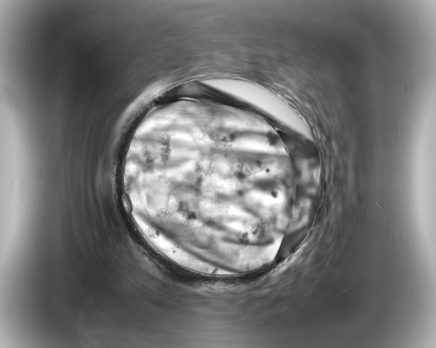 X0000085750197200704091322