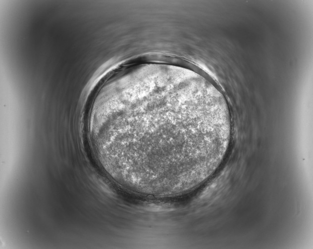 X0000085750199200704091322