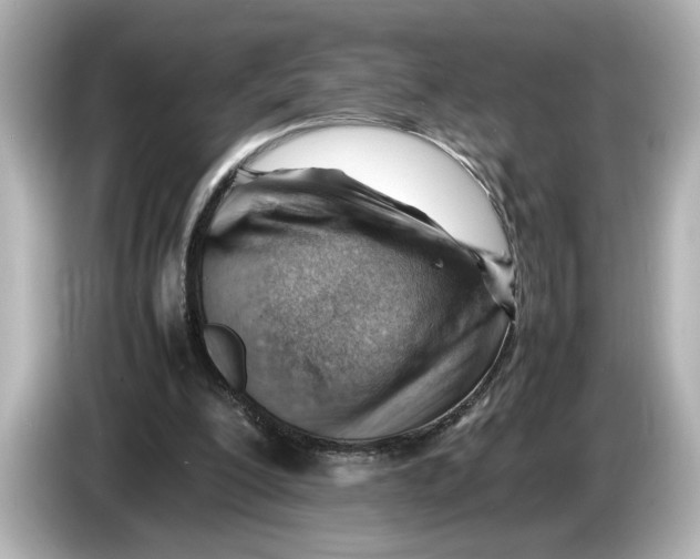 X0000085750200200704091322