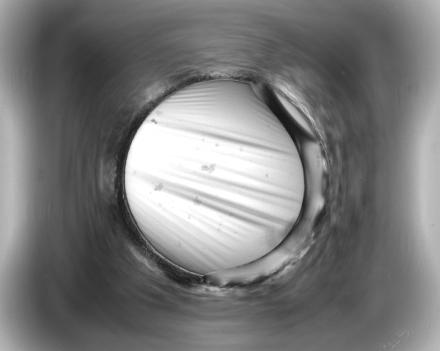 X0000085750201200704091322