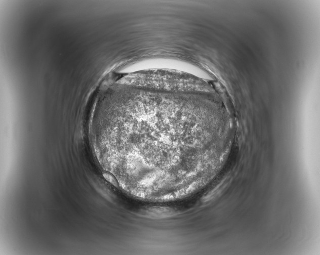 X0000085750203200704091322