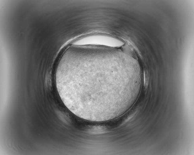 X0000085750204200704091322