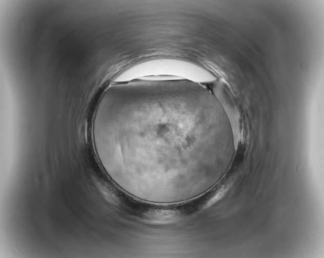 X0000085750205200704091322