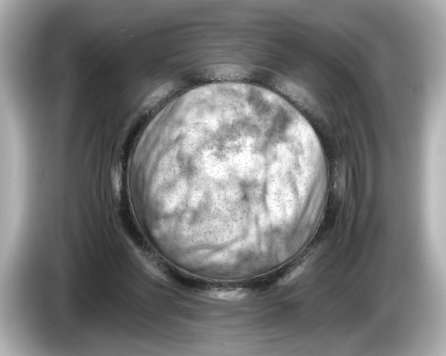 X0000085750206200704091322