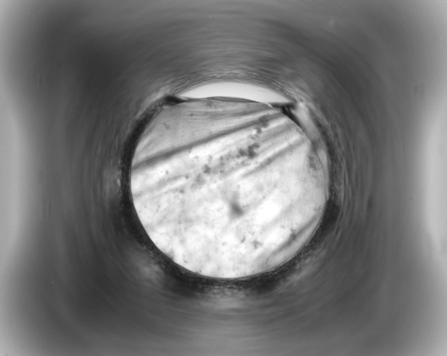 X0000085750207200704091322