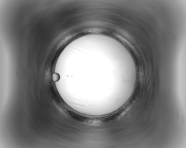 X0000085750208200704091322