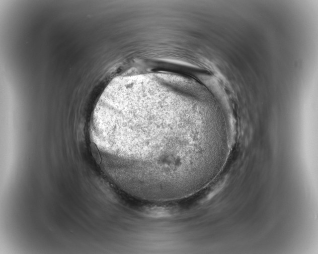 X0000085750209200704091322