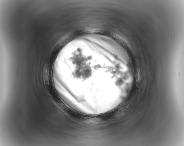 X0000085750210200704091322