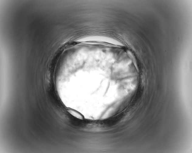 X0000085750211200704091322