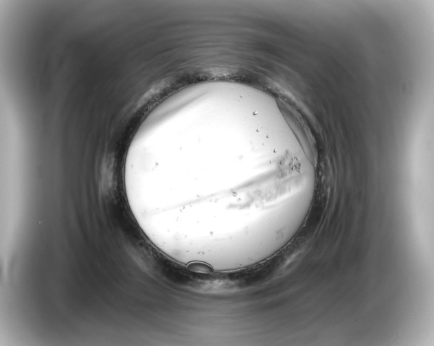 X0000085750212200704091322