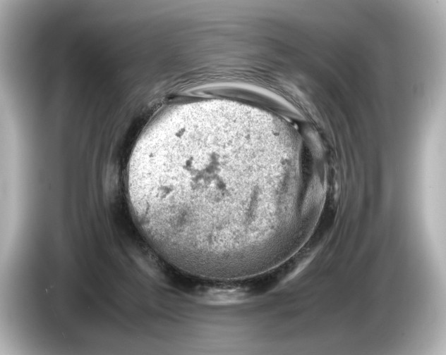 X0000085750213200704091322