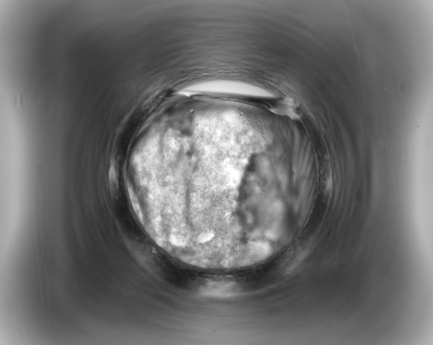 X0000085750214200704091322