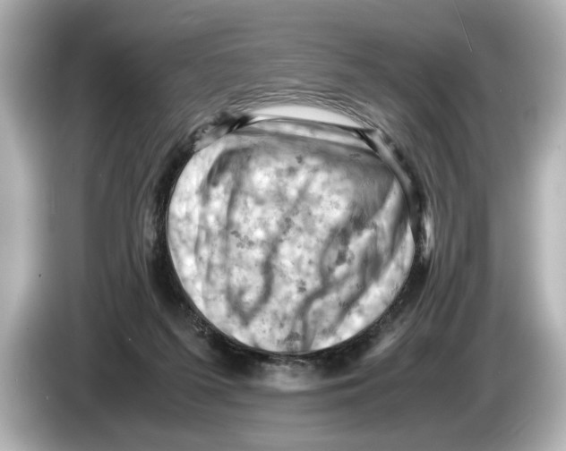 X0000085750215200704091322