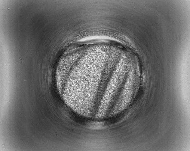 X0000085750217200704091322