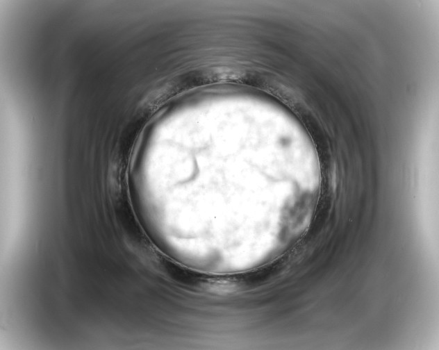 X0000085750218200704091322