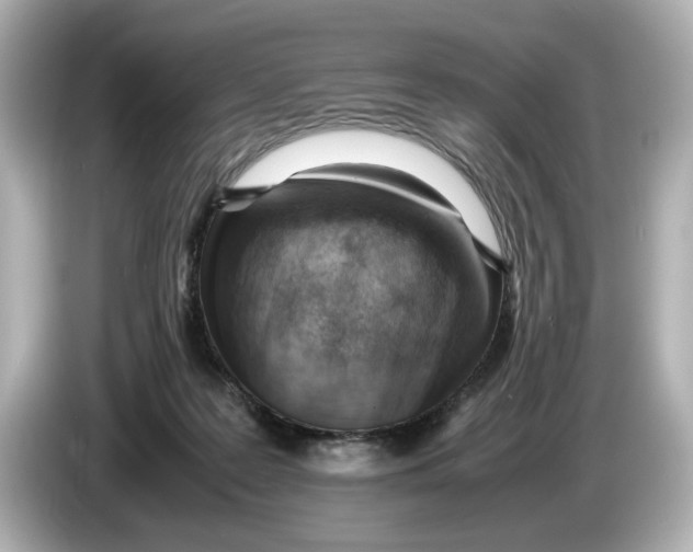 X0000085750219200704091322