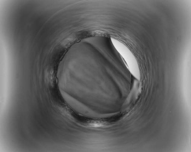 X0000085750223200704091322