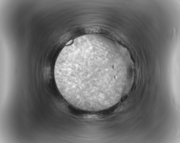 X0000085750224200704091322