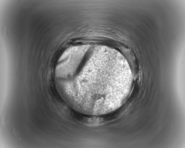 X0000085750225200704091322