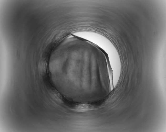 X0000085750227200704091322