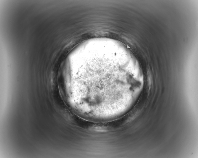 X0000085750228200704091322