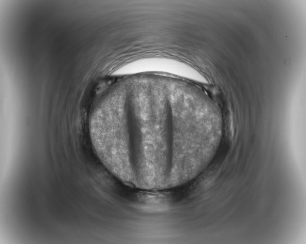 X0000085750229200704091322