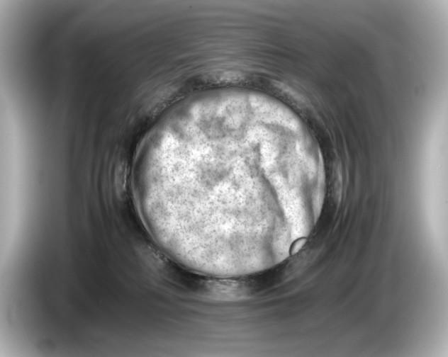 X0000085750230200704091322