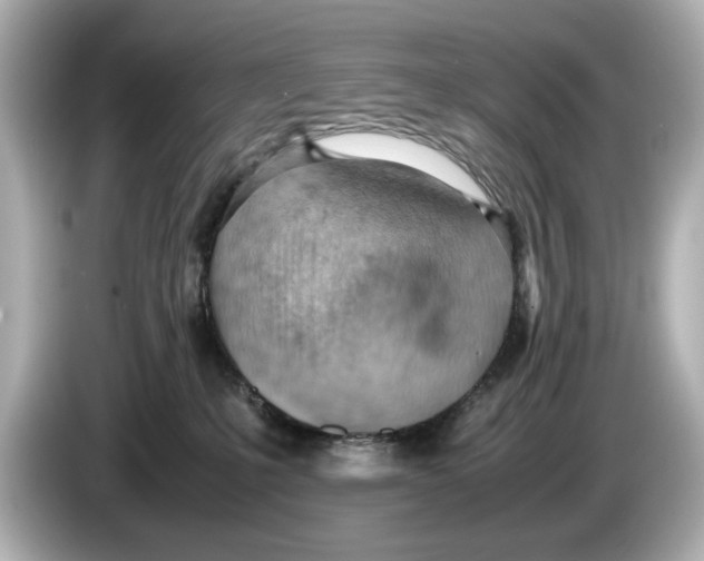 X0000085750231200704091322