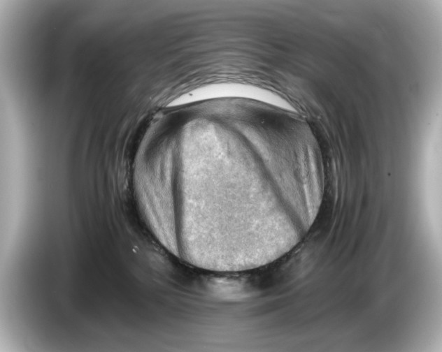 X0000085750232200704091322