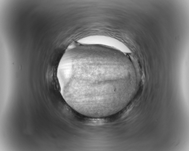 X0000085750233200704091322