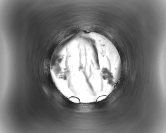 X0000085750234200704091322