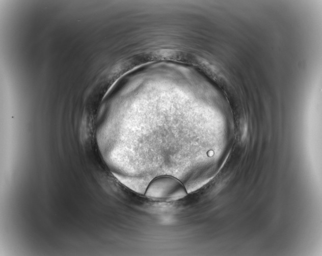 X0000085750236200704091322