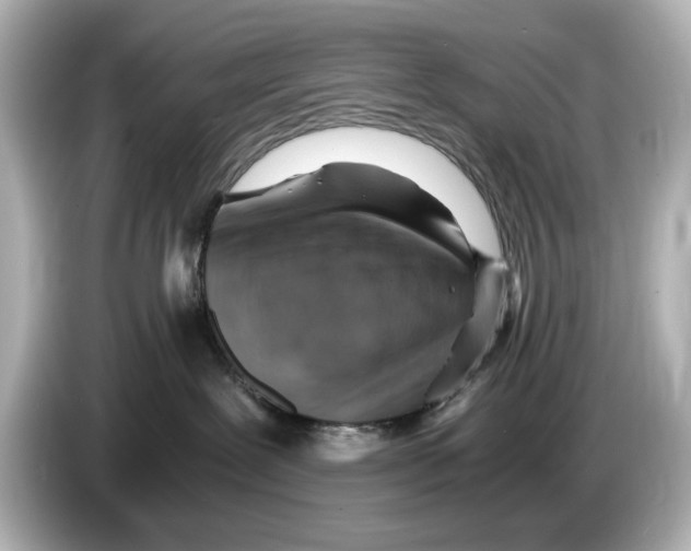 X0000085750239200704091322