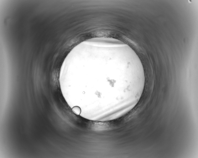 X0000085750240200704091322