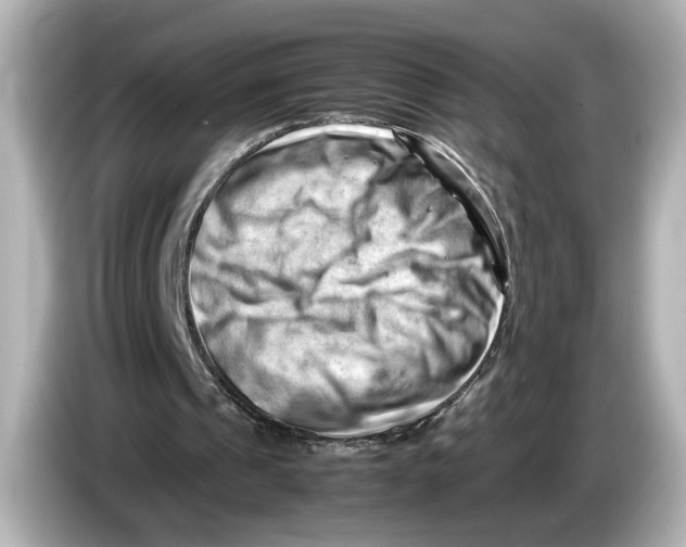 X0000085750241200704091321