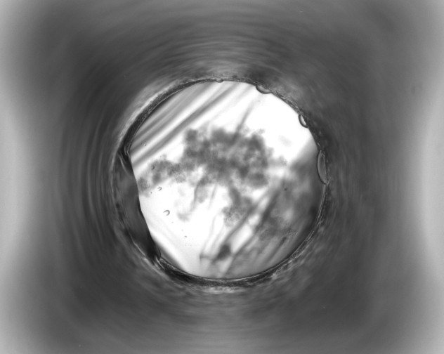 X0000085750242200704091321