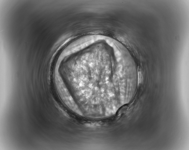 X0000085750243200704091321